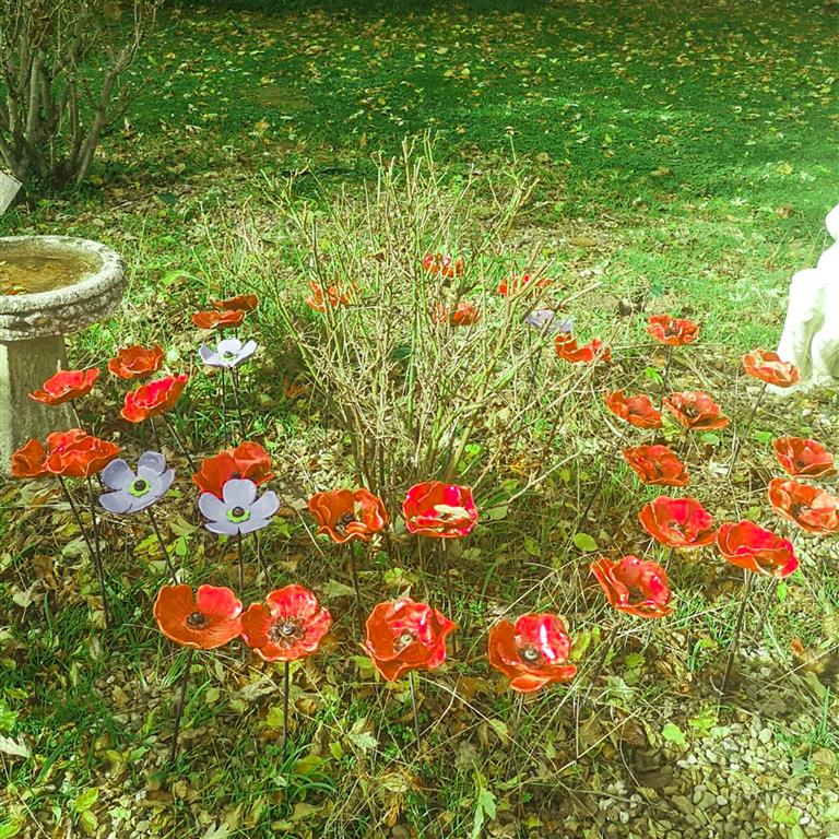 remembrance poppies - goldenley - excelcare.jpg